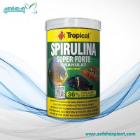 غذا ماهی Tropical Spirulina Super Forte Granulat