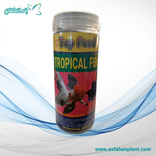 غذا ماهی تاپ فود مدل tropical fish