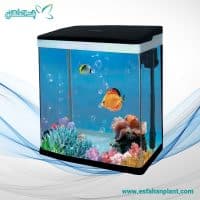 آکواریوم k185 دلسا