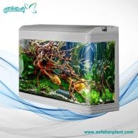 آکواریوم k800 دلسا