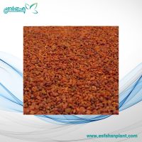 شن آجری آکواریوم