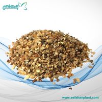 شن عربی آکواریوم