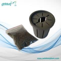 گلدان کاشت گیاه آکواریوم