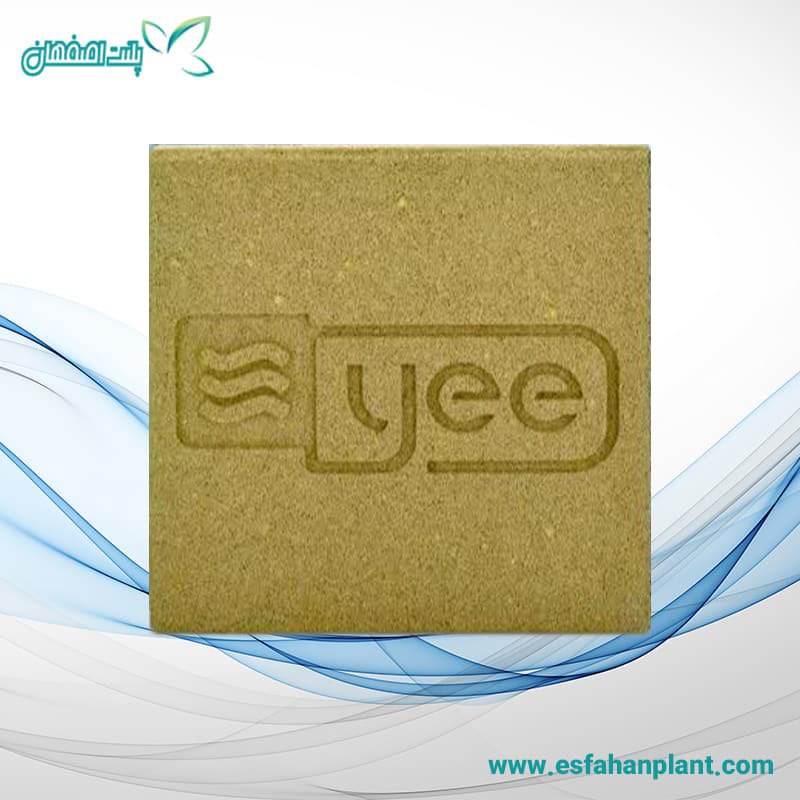 بلوک-ضد-باکتری-بیماری-زا-YEE