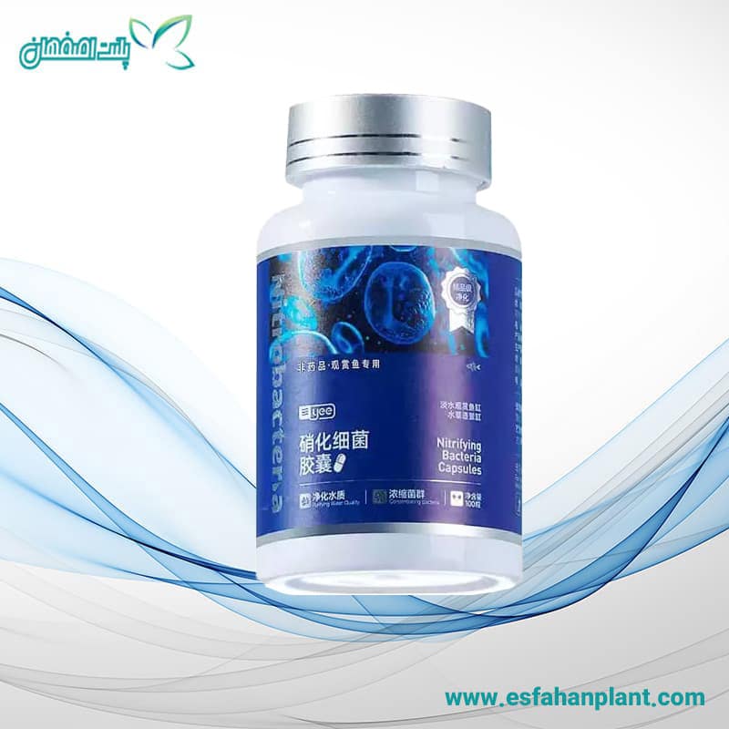 کپسول-باکتری-۱۰۰-عددی کپسول باکتری 100 عددی